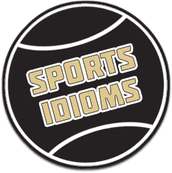 Sports Idioms Baseball Logo